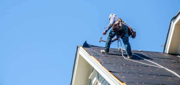 Best Local Roofing Companies  in Mannington, WV